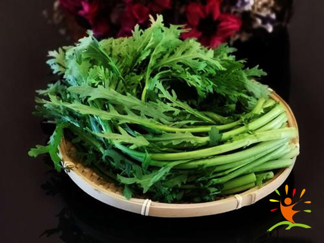 企业团队团建活动来时的推荐吃山野菜